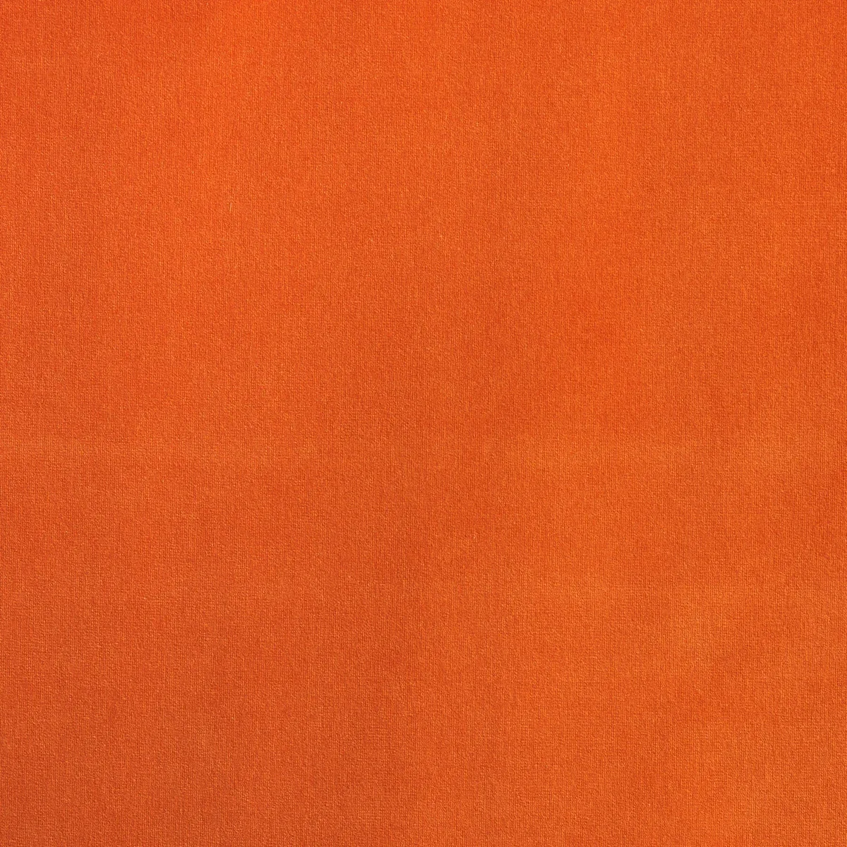 GAINSBOROUGH VELVET Fabric – MANGO | Schumacher | Wallpaper GAINSBOROUGH VELVET fabric MANGO color by Schumacher