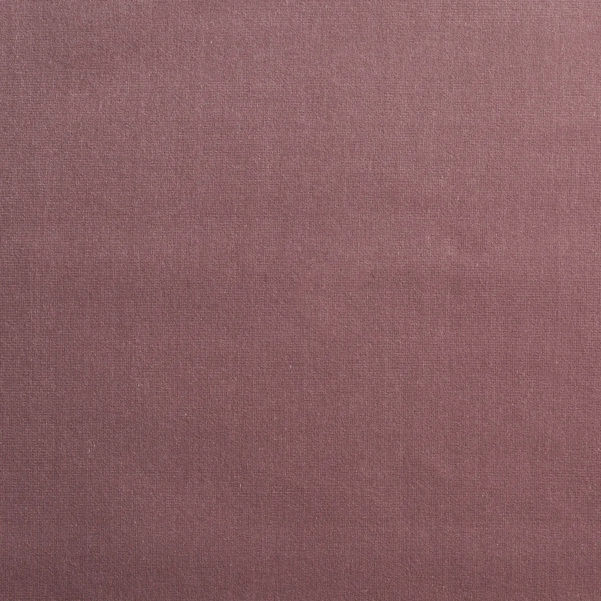 GAINSBOROUGH VELVET fabric MAUVE color by Schumacher