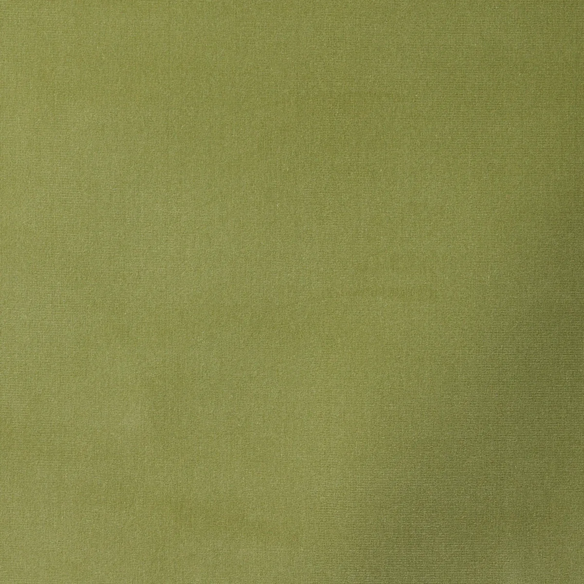 GAINSBOROUGH VELVET Fabric – MING | Schumacher | Wallpaper T GAINSBOROUGH VELVET fabric MING color by Schumacher