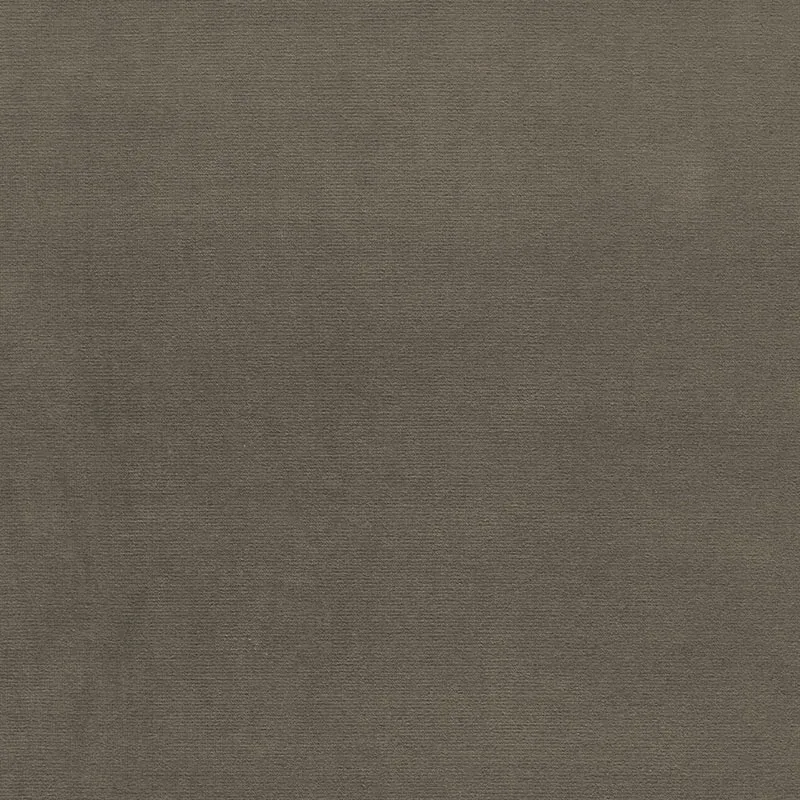 GAINSBOROUGH VELVET fabric MOLESKIN color by Schumacher