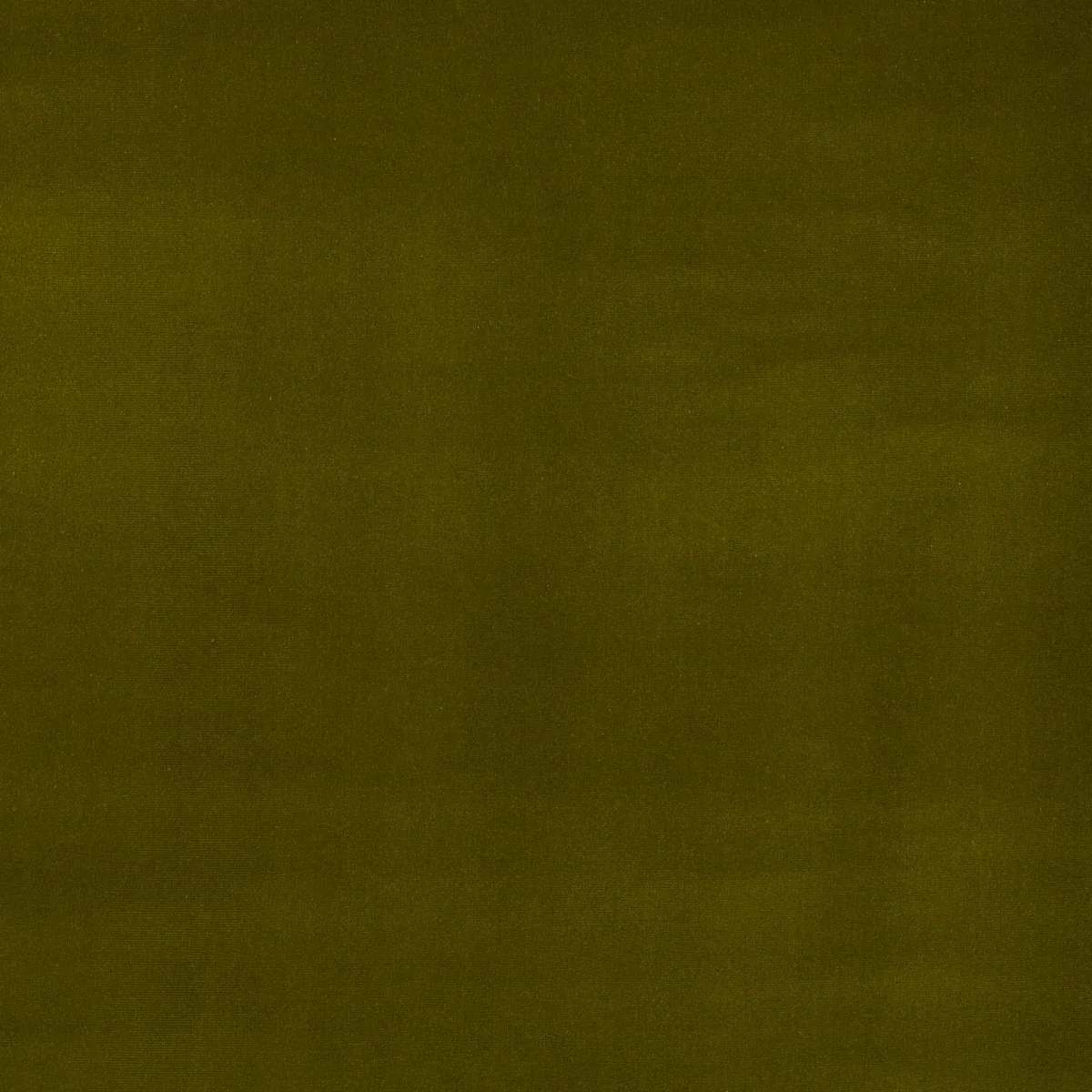 GAINSBOROUGH VELVET fabric MOSS color by Schumacher