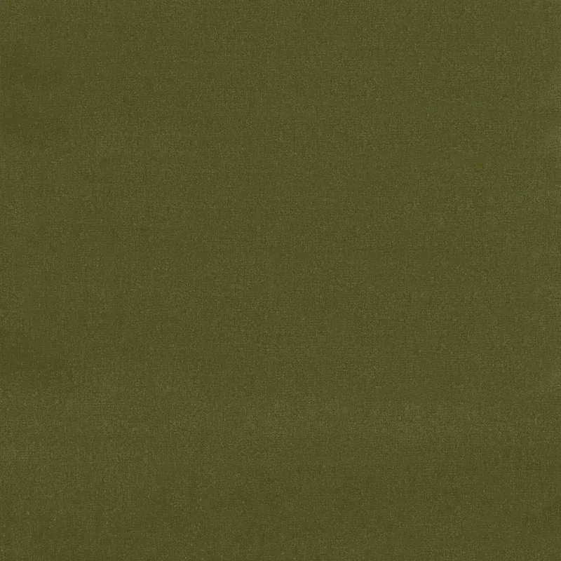 GAINSBOROUGH VELVET fabric OLIVE color by Schumacher
