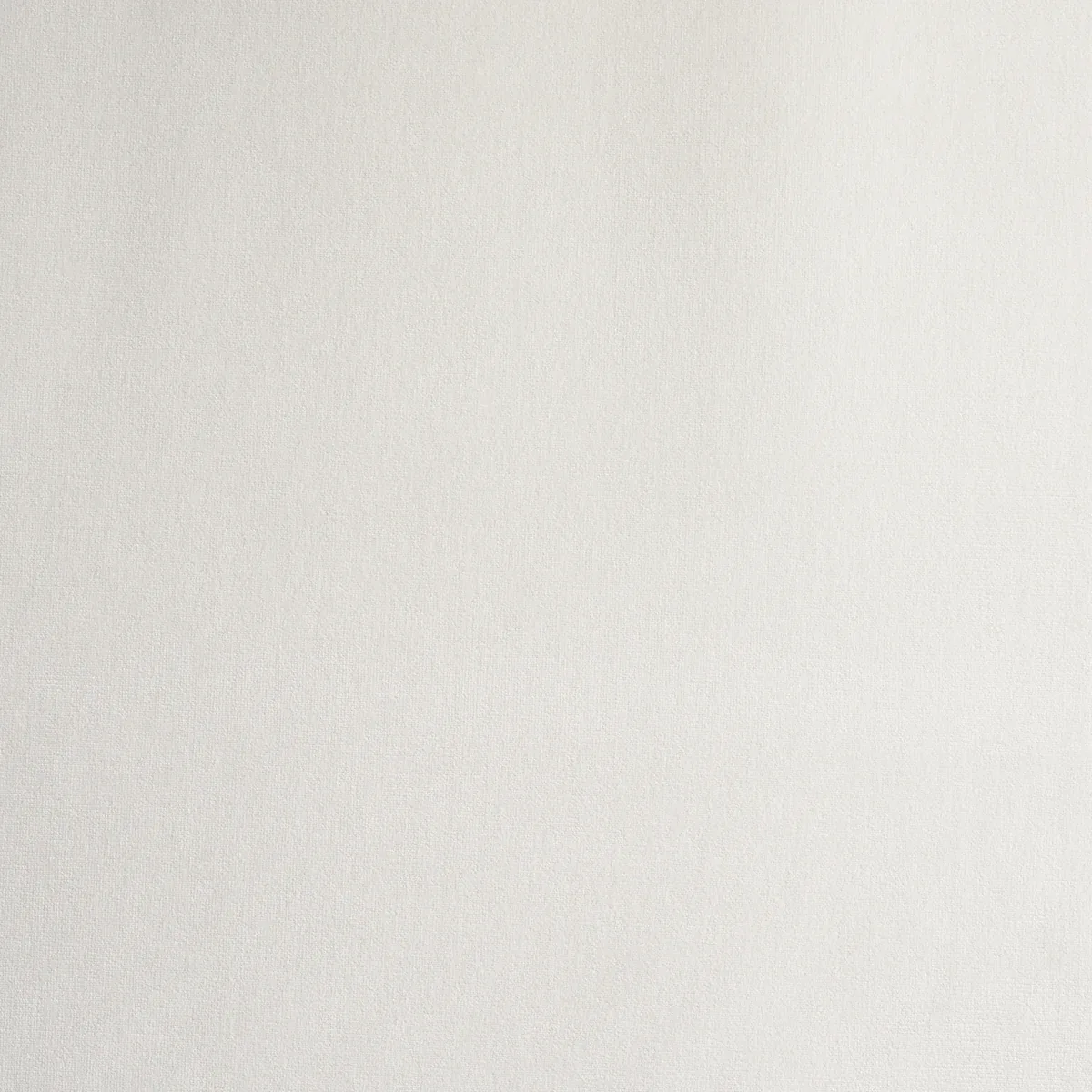 GAINSBOROUGH VELVET fabric OYSTER color by Schumacher