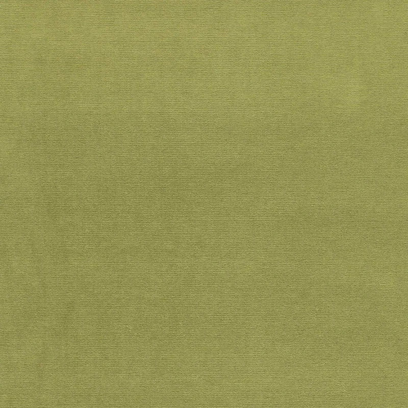 GAINSBOROUGH VELVET fabric PALM color by Schumacher