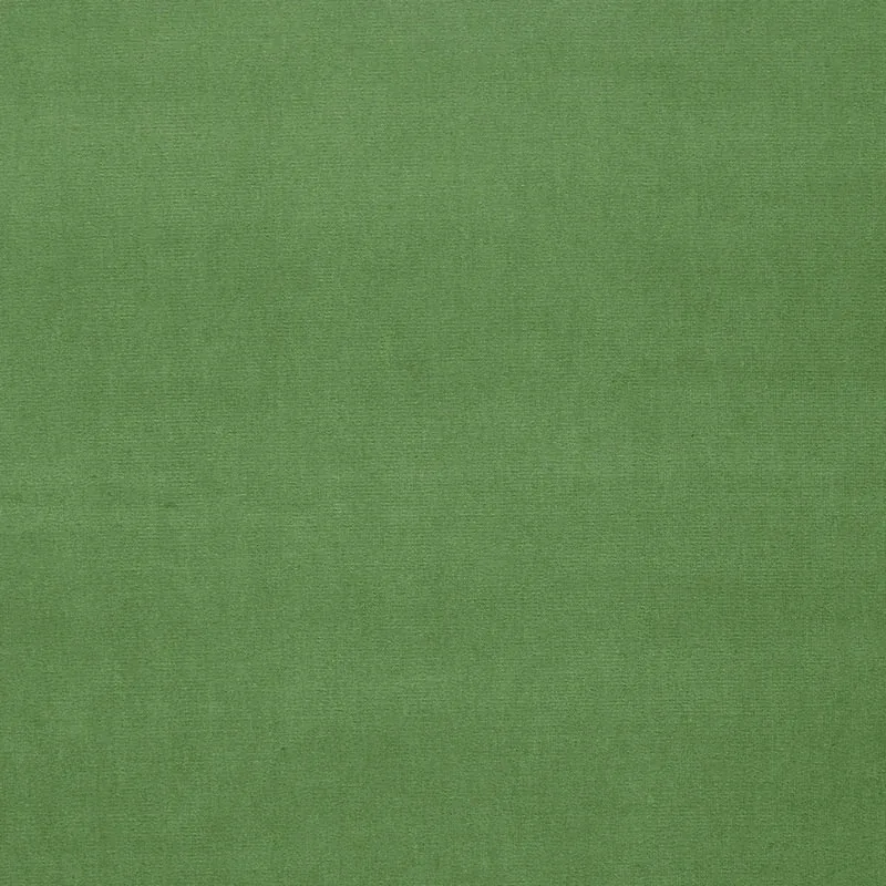 GAINSBOROUGH VELVET fabric PARROT color by Schumacher