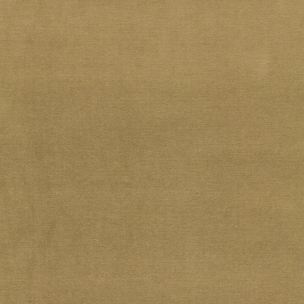 GAINSBOROUGH VELVET fabric PISTACHIO color by Schumacher