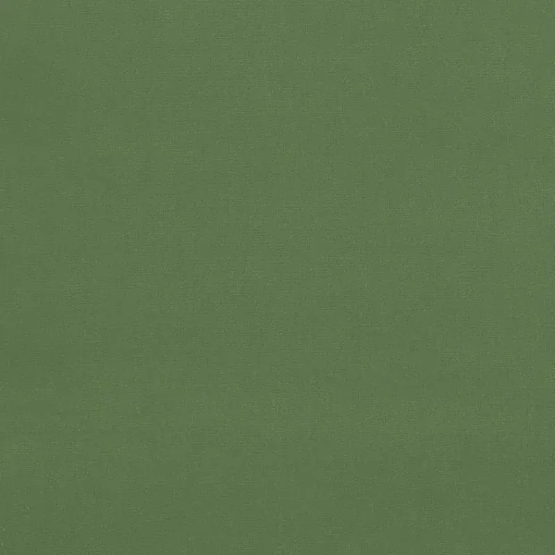GAINSBOROUGH VELVET fabric RESEDA color by Schumacher
