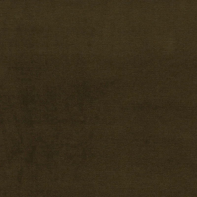 GAINSBOROUGH VELVET fabric VERT color by Schumacher