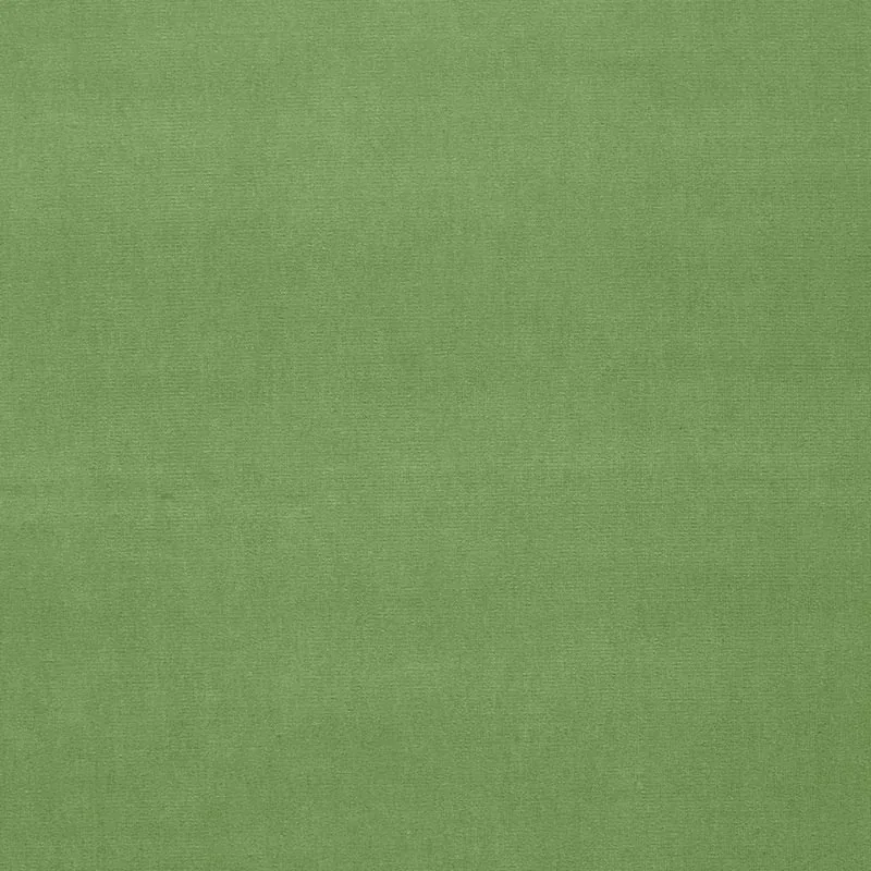 GAINSBOROUGH VELVET fabric WILLOW color by Schumacher