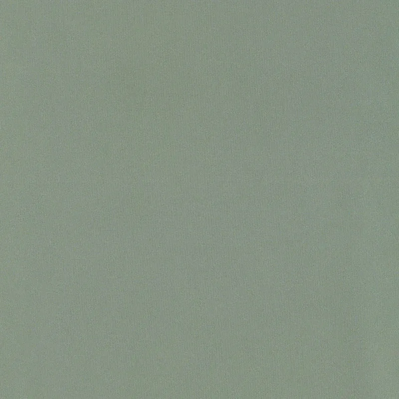 63965 | GIORDANO TAFFETA – SPANISH MOSS