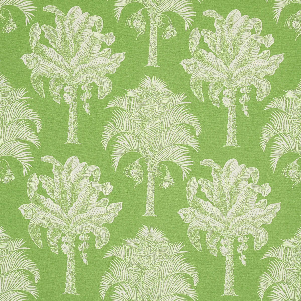 GRAND PALMS INDOOR/OUTDOOR fabric GREEN color by Schumacher