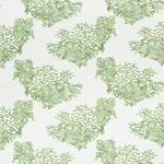 GREAT BARRIER REEF II fabric GREEN color by Schumacher