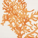 GREAT BARRIER REEF Fabric – ORANGE | Schumacher | Wallpaper GREAT BARRIER REEF fabric ORANGE color by Schumacher