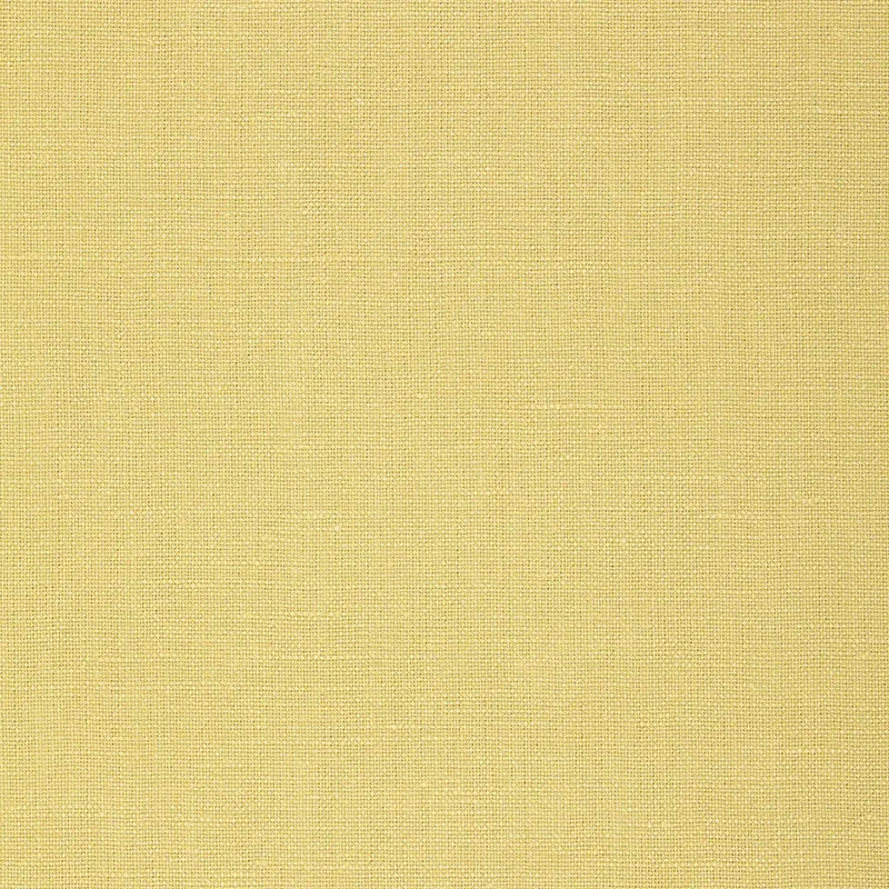 64496 | GWENETH LINEN – LIMEADE