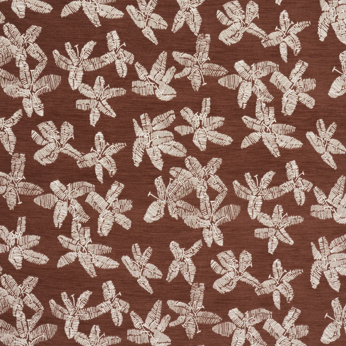 83810 | HIBISCUS – TEAK