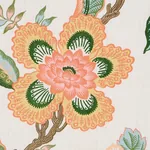 HOTHOUSE FLOWERS Fabric – SUNSHINE | Schumacher | Wallpaper HOTHOUSE FLOWERS fabric SUNSHINE color by Schumacher