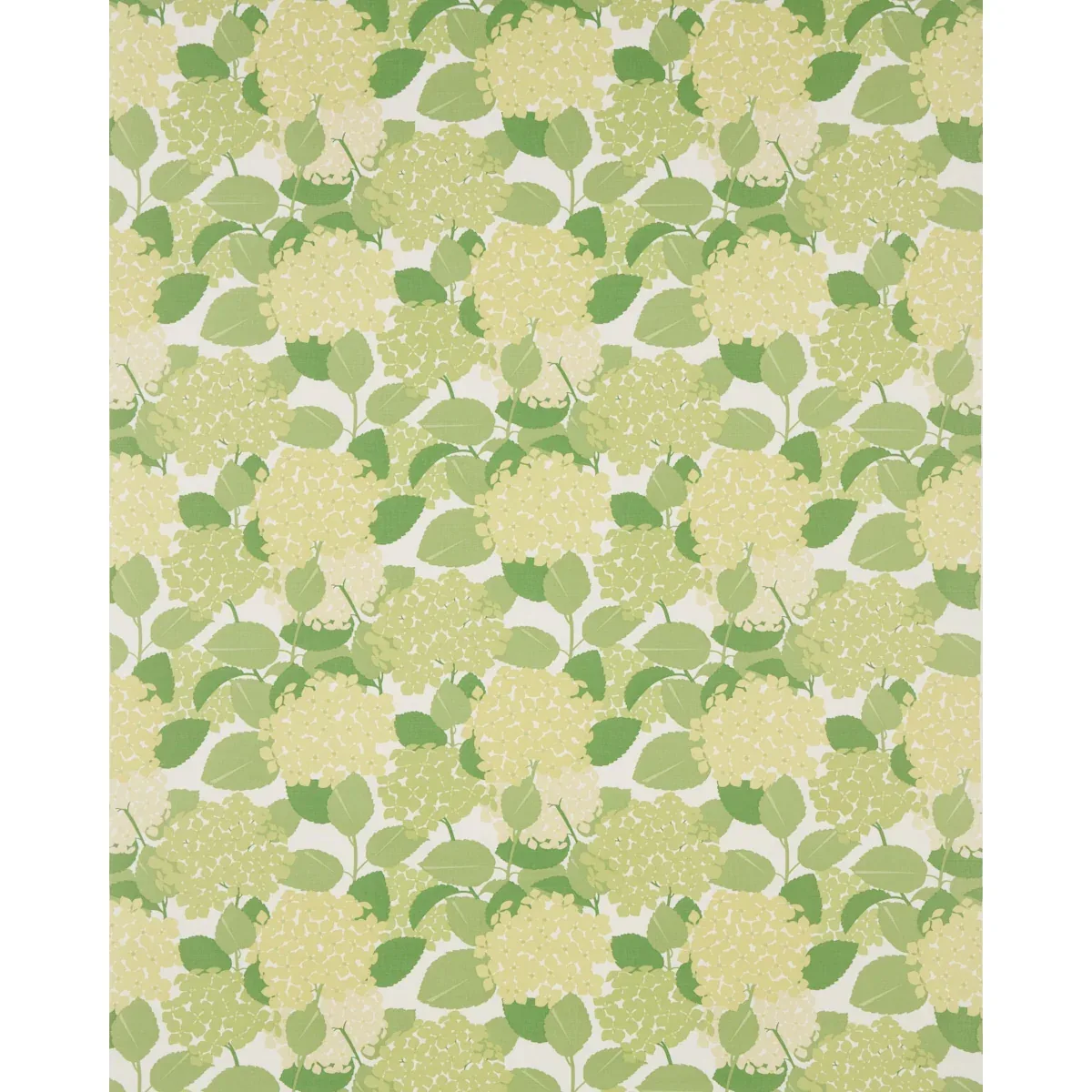 HYDRANGEA Fabric – GREEN | Schumacher | Wallpaper Twins HYDRANGEA fabric GREEN color by Schumacher