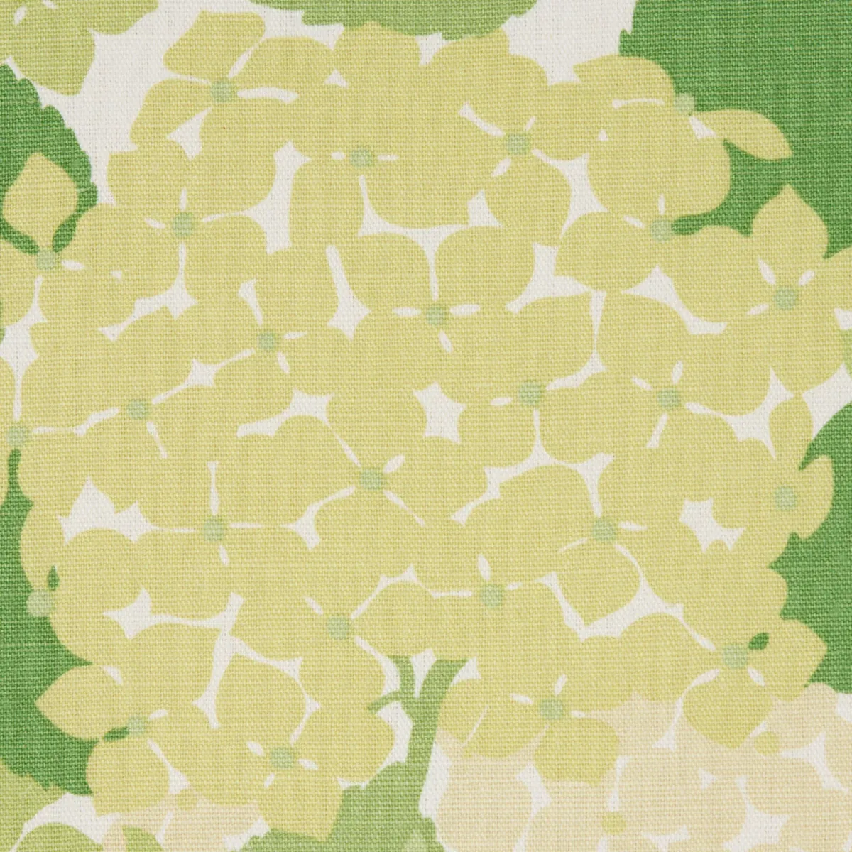 HYDRANGEA Fabric – GREEN | Schumacher | Wallpaper Twins HYDRANGEA fabric GREEN color by Schumacher