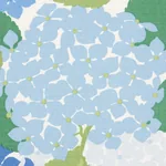 HYDRANGEA fabric PORCELAIN color by Schumacher