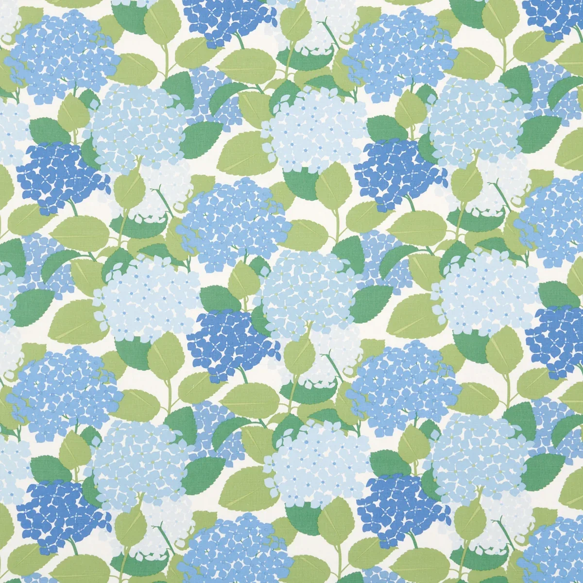 177583 | HYDRANGEA – PORCELAIN