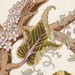 INDIAN ARBRE Fabric – SPRING | Schumacher | Wallpaper Twins INDIAN ARBRE fabric SPRING color by Schumacher