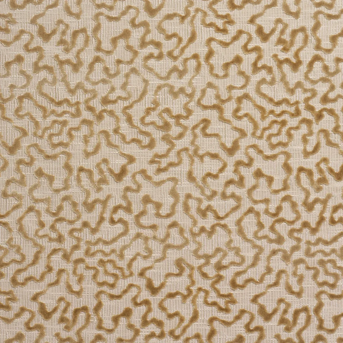 JANIS VELVET Fabric – CHAMPAGNE | Schumacher | Wallpaper Twi JANIS VELVET fabric CHAMPAGNE color by Schumacher