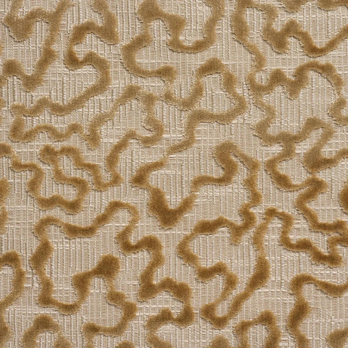 JANIS VELVET Fabric – CHAMPAGNE | Schumacher | Wallpaper Twi JANIS VELVET fabric CHAMPAGNE color by Schumacher
