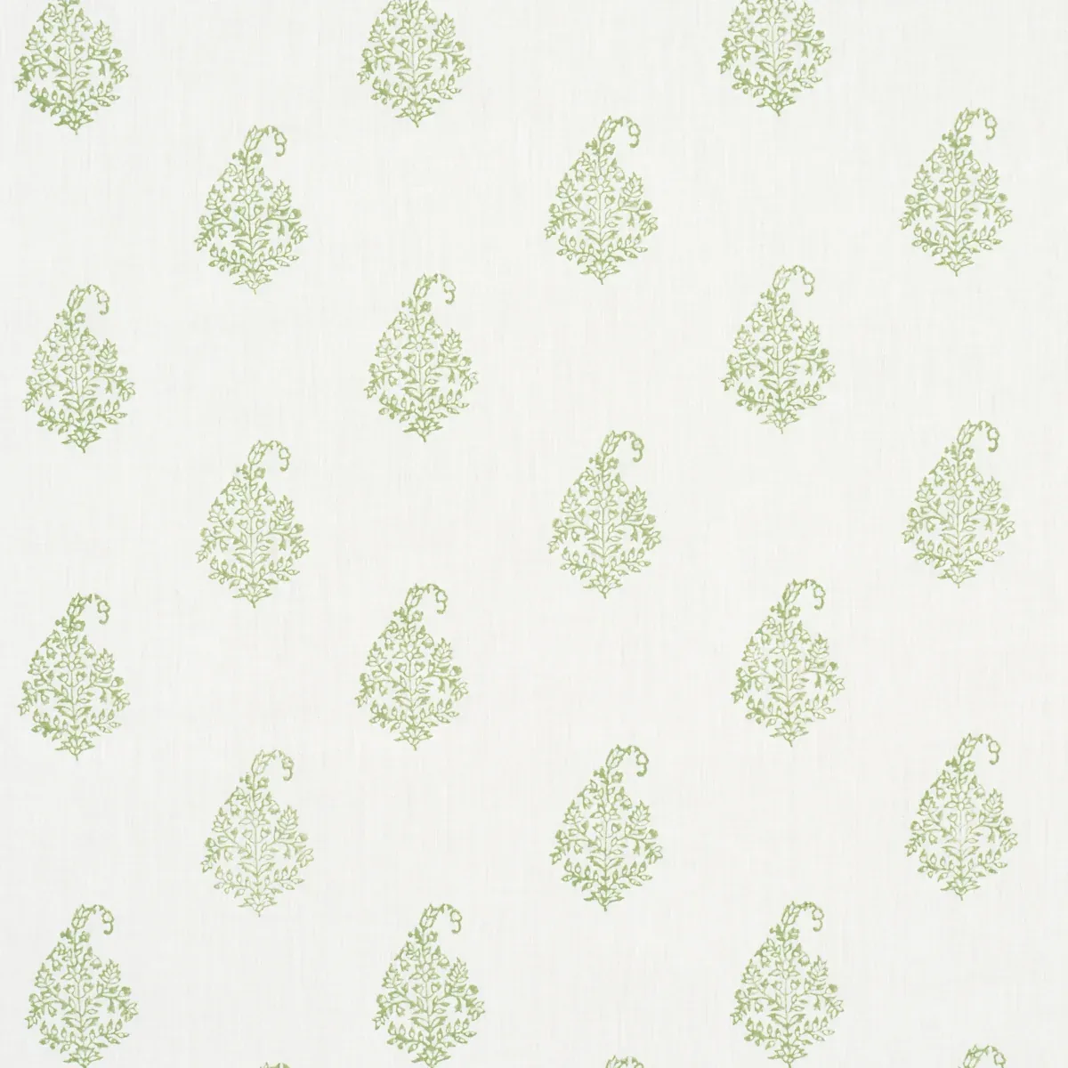 KERALA PAISLEY fabric LEAF color by Schumacher
