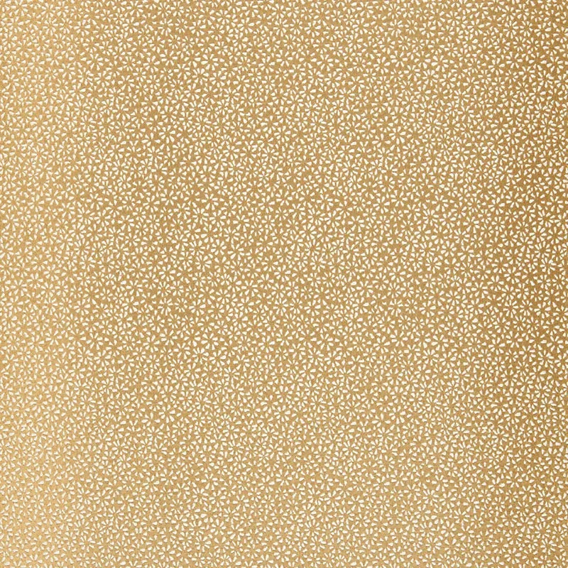 KYOUSHA SILK fabric CHAMPAGNE color by Schumacher