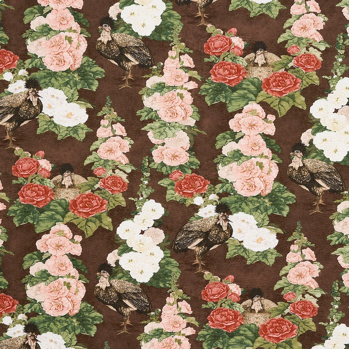 181041 | LADY HOLLYHOCK – BROWN
