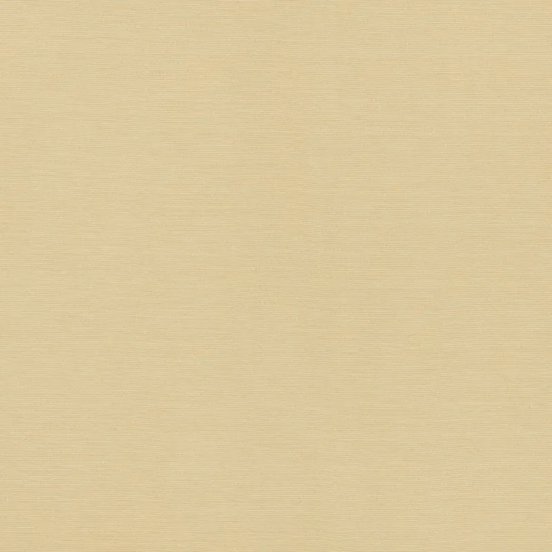 LAMPEDUSA INDOOR/OUTDOOR fabric ECRU color by Schumacher