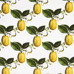 LE CITRON Fabric – IVORY | Schumacher | Wallpaper Twins LE CITRON fabric IVORY color by Schumacher
