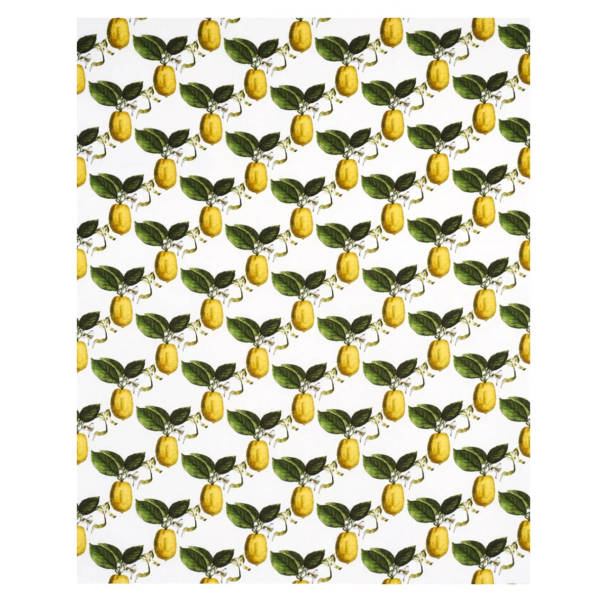 LE CITRON Fabric – IVORY | Schumacher | Wallpaper Twins LE CITRON fabric IVORY color by Schumacher