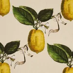 LE CITRON Fabric – NATURAL | Schumacher | Wallpaper Twins LE CITRON fabric NATURAL color by Schumacher