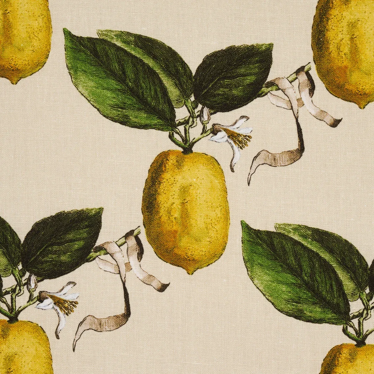 LE CITRON Fabric – NATURAL | Schumacher | Wallpaper Twins LE CITRON fabric NATURAL color by Schumacher