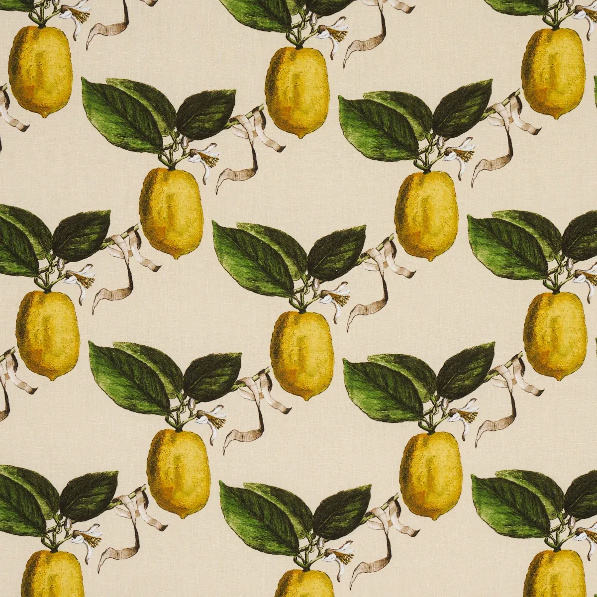 180632 | LE CITRON – NATURAL