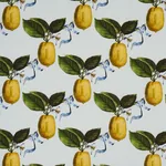 LE CITRON fabric SKY color by Schumacher