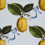 LE CITRON fabric SKY color by Schumacher