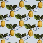 LE CITRON fabric SKY color by Schumacher