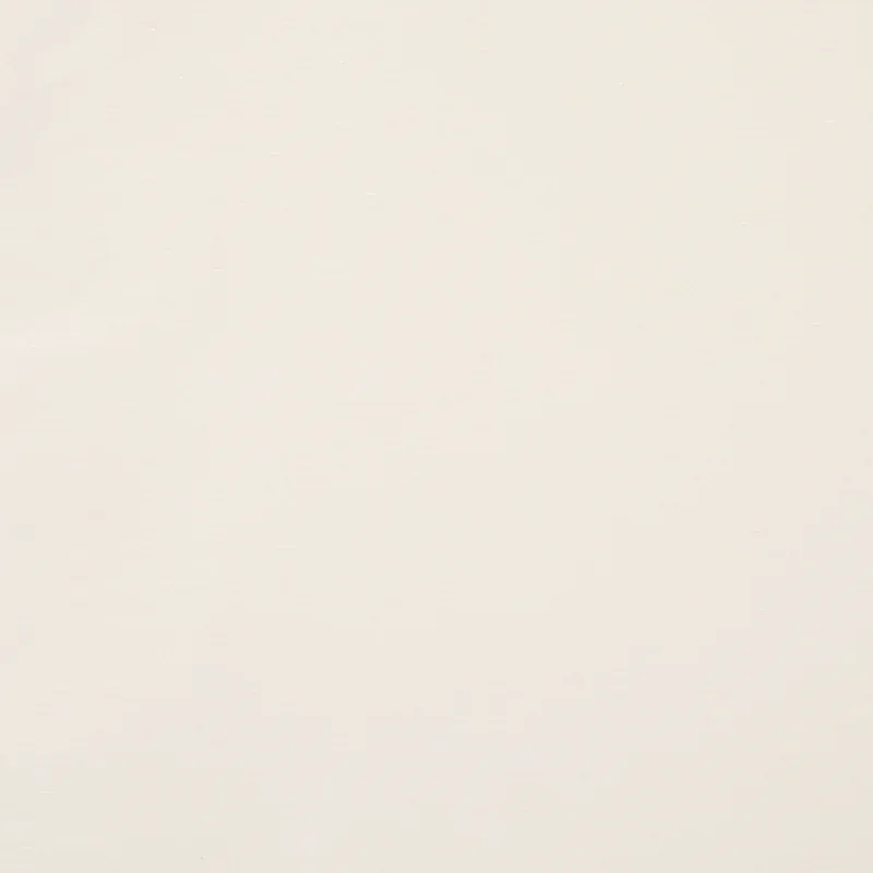 80910 | LEGERE LINEN SILK – IVORY