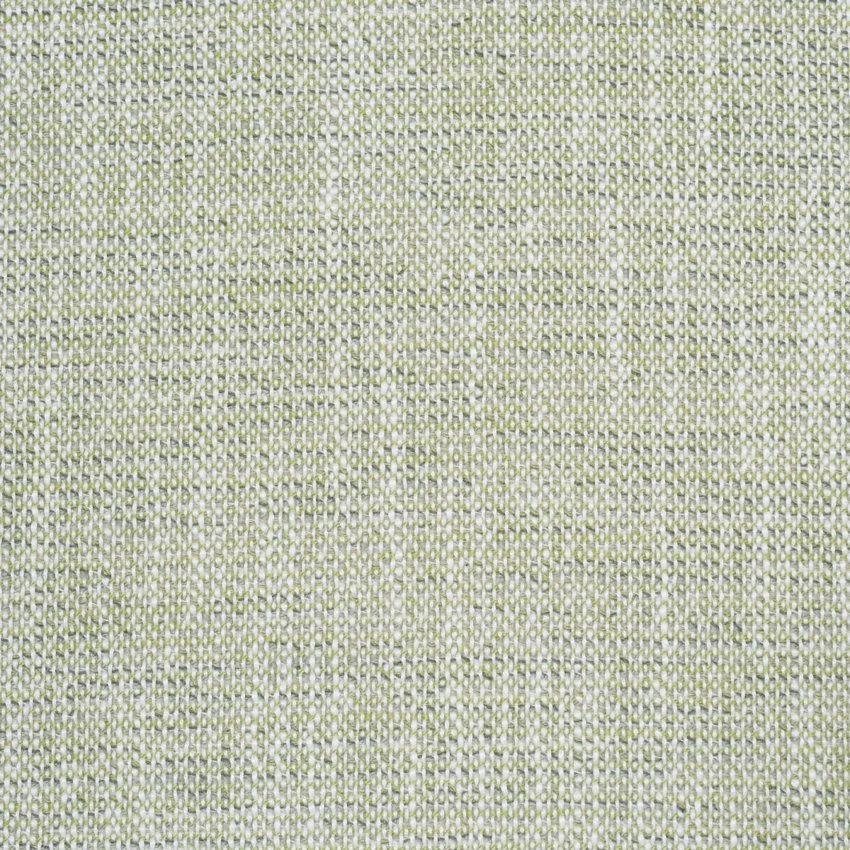 LILY INDOOR/OUTDOOR Fabric – SAGE | Schumacher | Wallpaper T LILY INDOOR/OUTDOOR fabric SAGE color by Schumacher