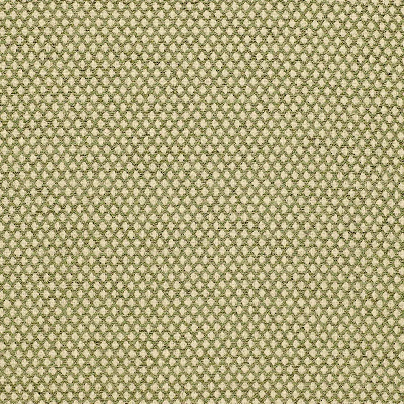 LOSANGE BOUCLÉ fabric LEAF color by Schumacher