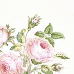 LOUDON ROSE Fabric – BLUSH | Schumacher | Wallpaper Twins LOUDON ROSE fabric BLUSH color by Schumacher