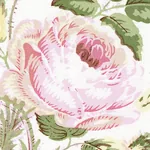 LOUDON ROSE Fabric – BLUSH | Schumacher | Wallpaper Twins LOUDON ROSE fabric BLUSH color by Schumacher