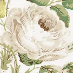 LOUDON ROSE fabric IVORY color by Schumacher