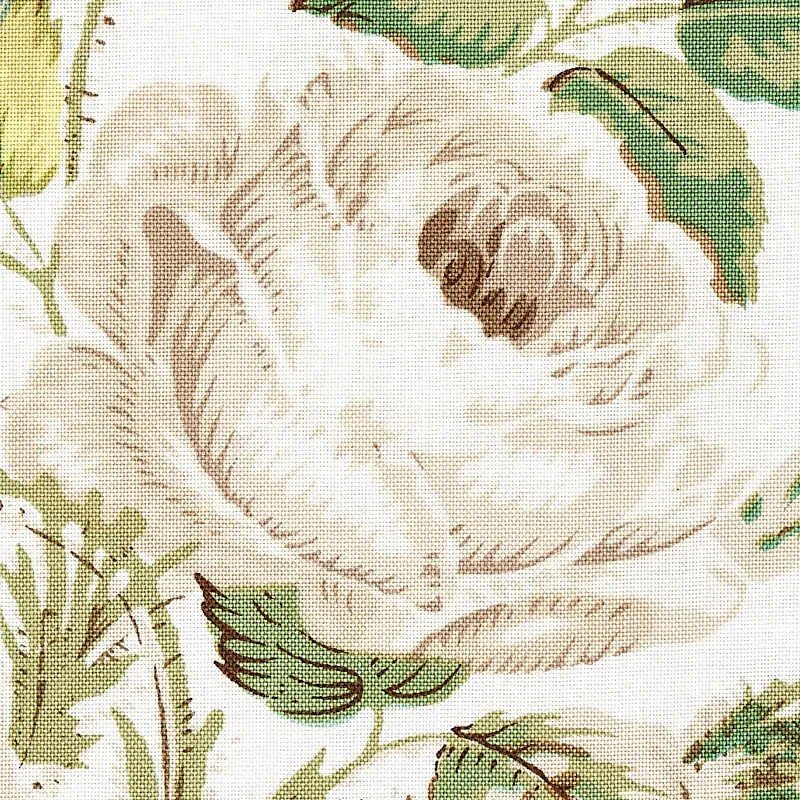 LOUDON ROSE fabric IVORY color by Schumacher