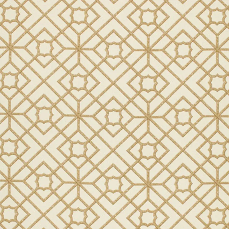 LUAN FRETWORK fabric CANE color by Schumacher