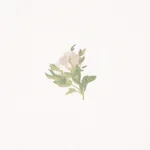 MARGIE FLORAL Fabric – GRIS | Schumacher | Wallpaper Twins MARGIE FLORAL fabric GRIS color by Schumacher