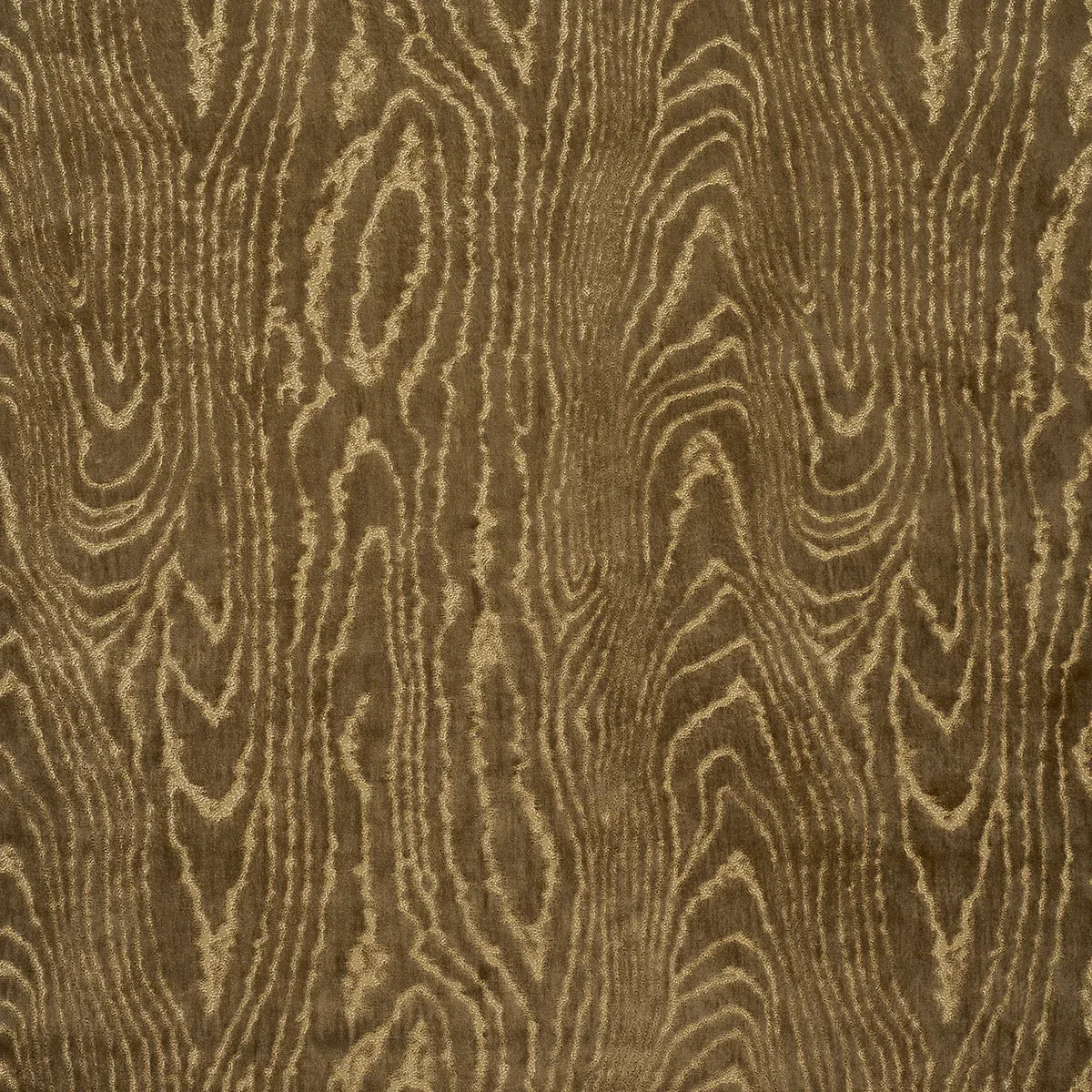 82750 | MARISA MOIRE VELVET – CAMEL