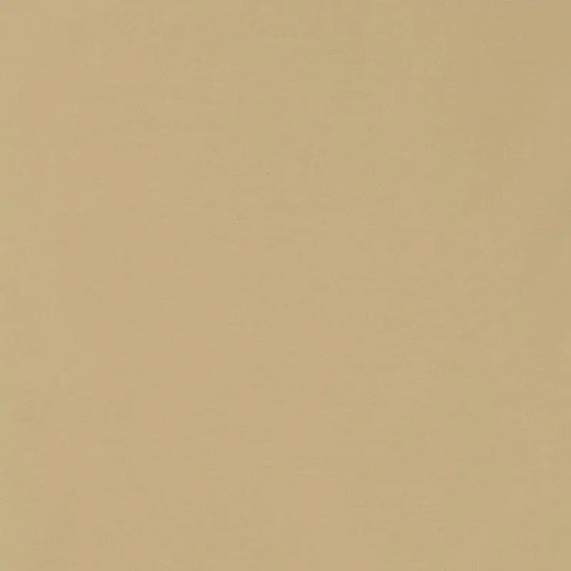 63900 | MASACCIO TAFFETA – PUTTY